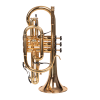 The Oldroyd EVO Cornet - Gold Lacquered